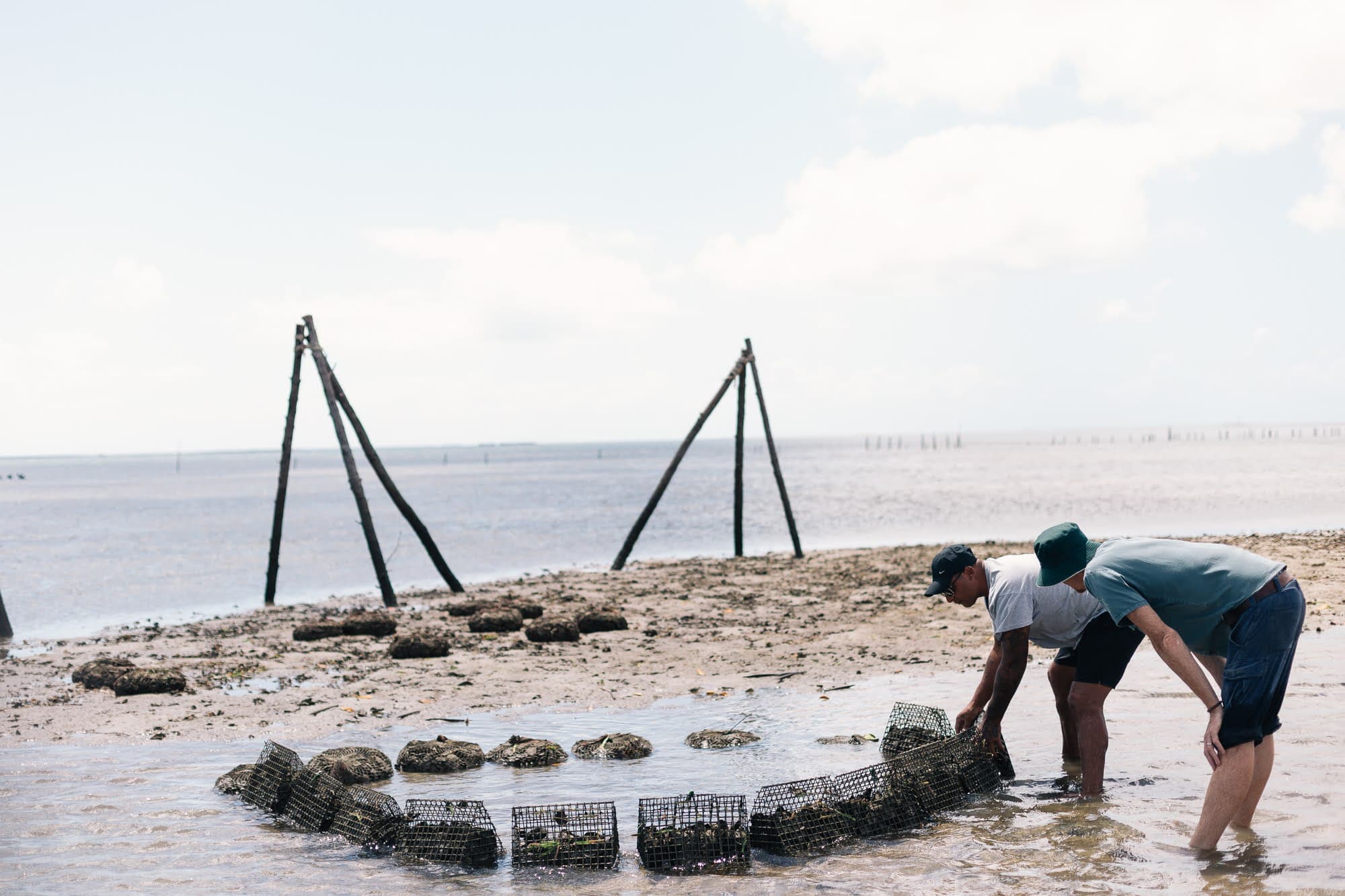 Shaun Fisher on the oyster flats
