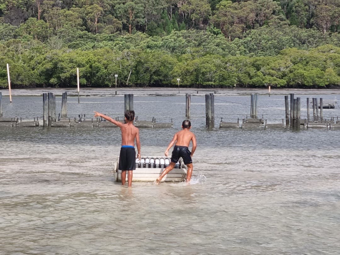 Children moving oyster gear through shallow Quandamooka waters