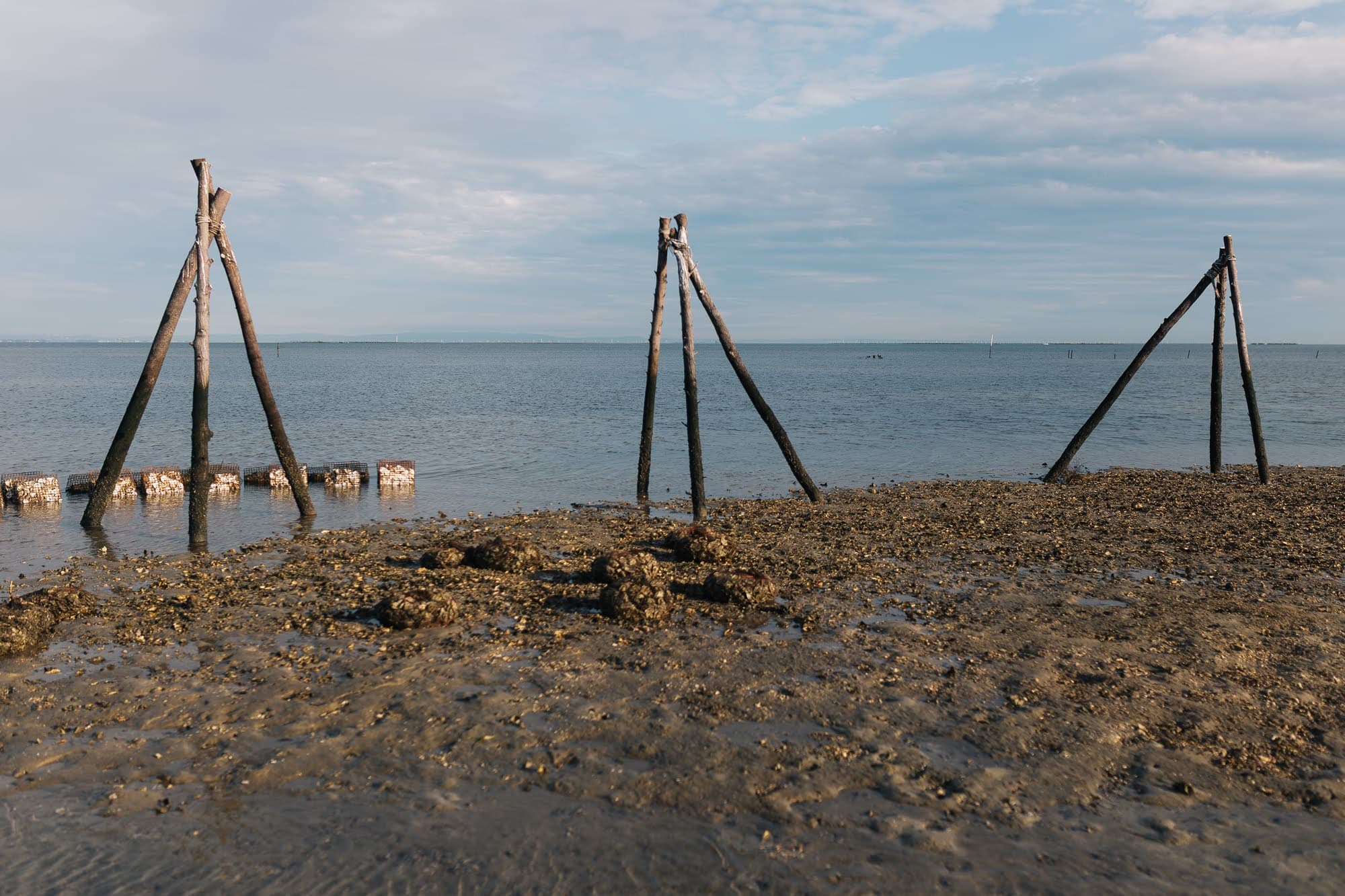 Oyster lease tripods at low tide
