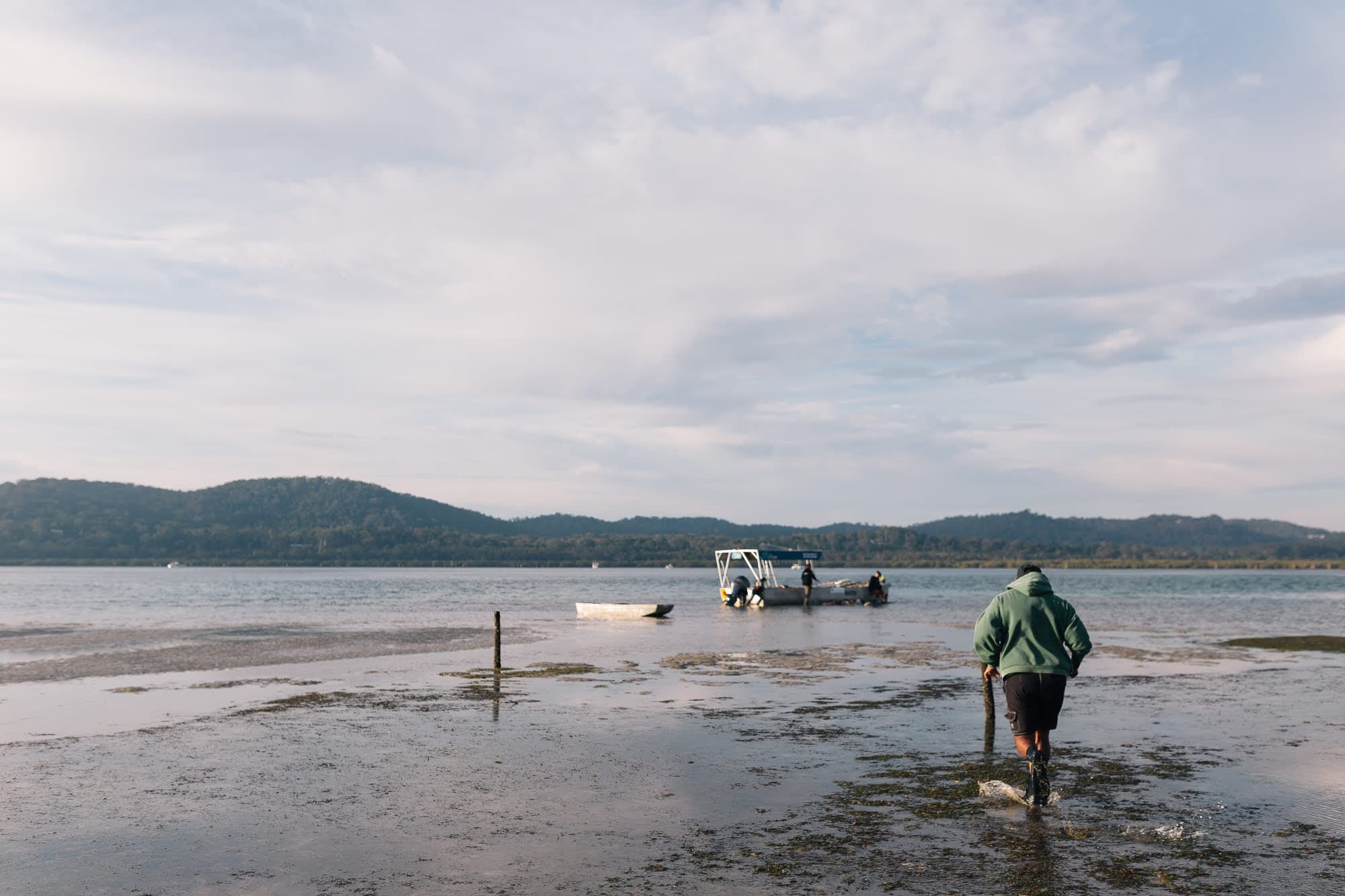 Walking the oyster leases at low tide